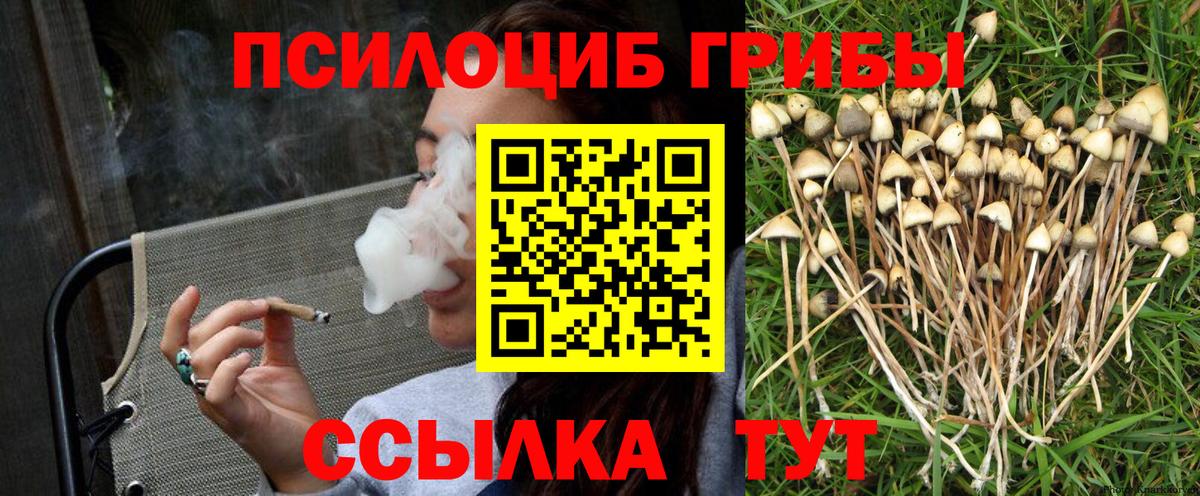 Мариинск  Псилоцибиновые грибы Psilocybine cubensis  Вход с VPN  Галлюциногенные грибы Cubensis 